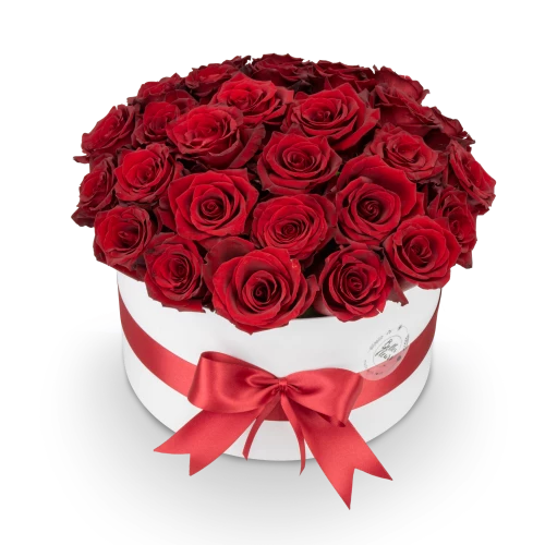 Box červených růží